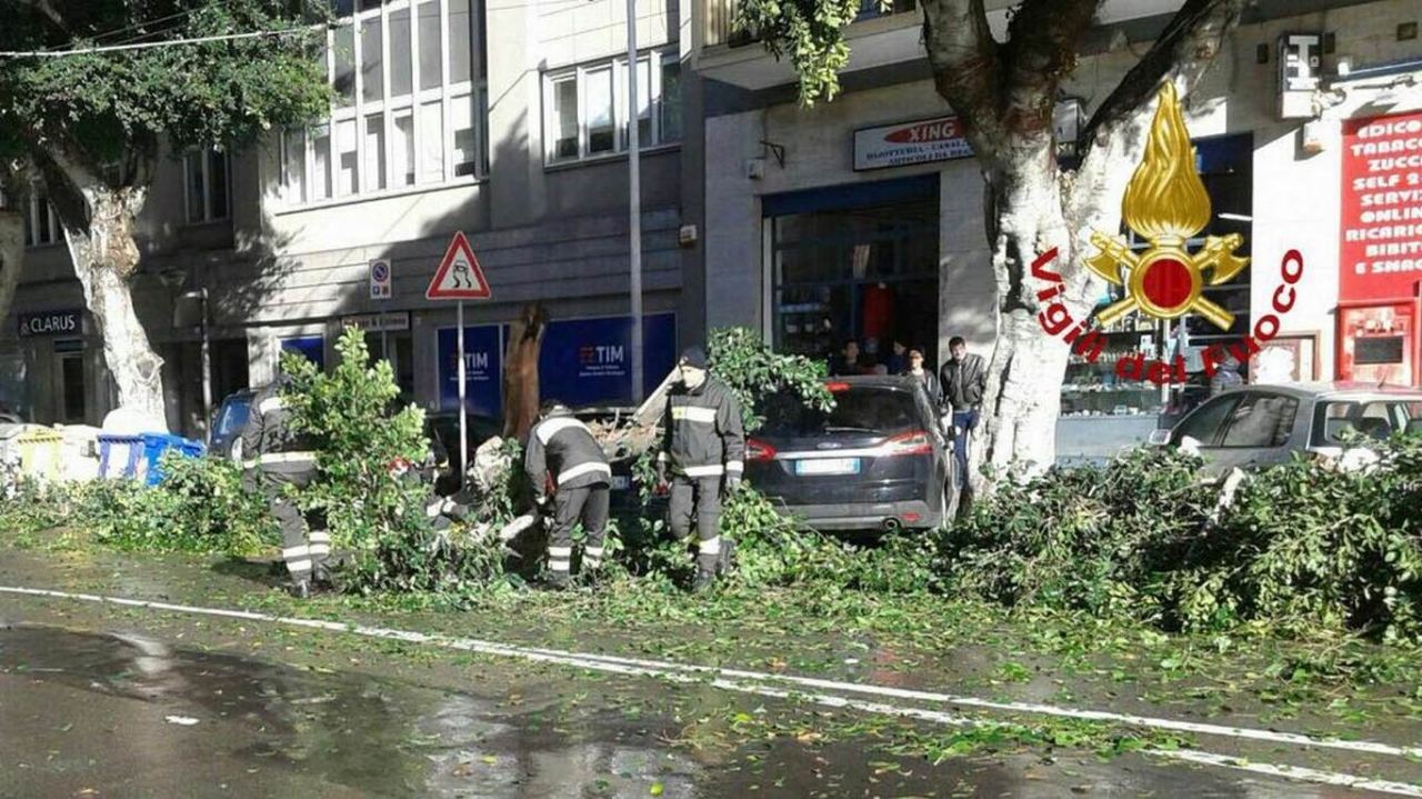 Fronde Cadute Viale Trieste Cagliari