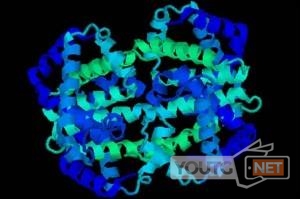 Dna