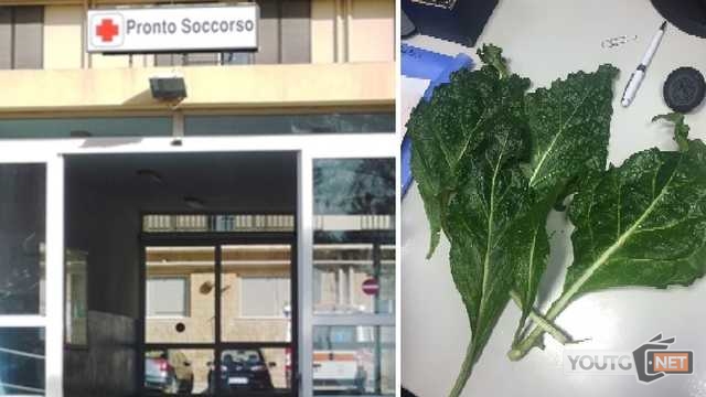 Pronto Soccorso Carbonia Mandragora