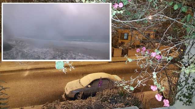 Neve Gallura