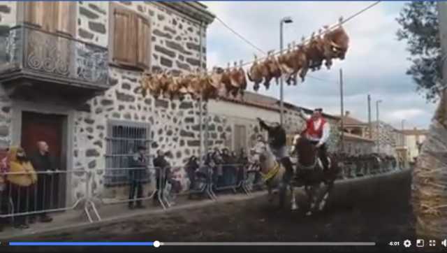 Sartiglia Galline