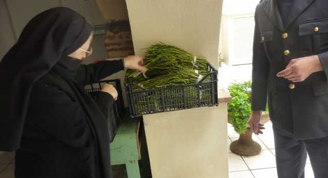 Asparagi Sequestro Oristano