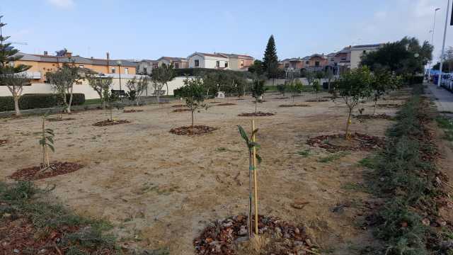 Frutteto Condiviso Via Biasi