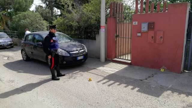 Sparatotia Flumini 2