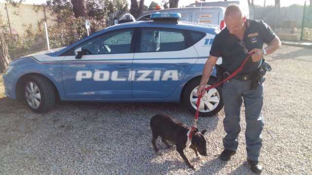 Cane Salvato Polizia 30.5.18