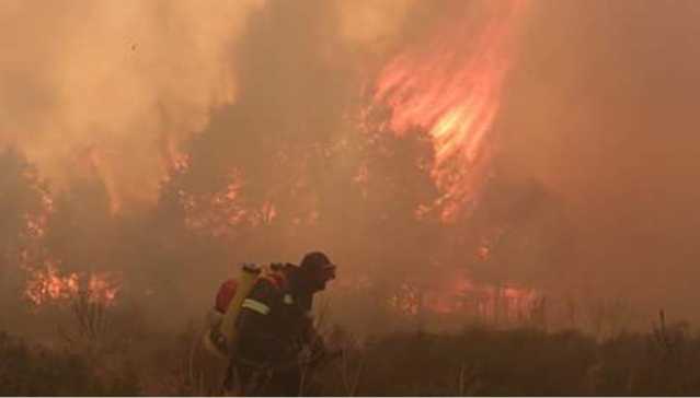 Incendio Incendi Sardegna Forestale