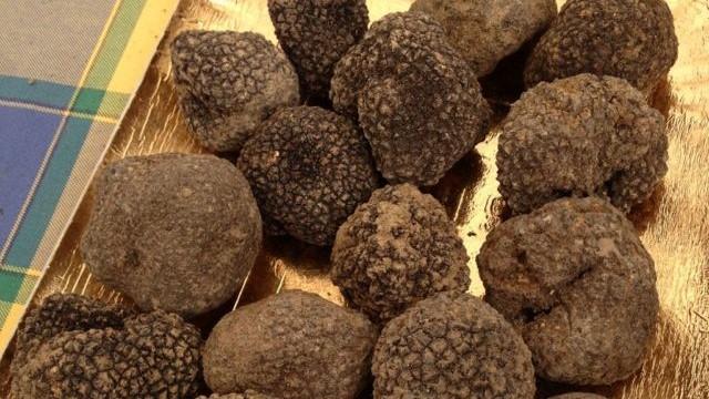 Tartufo Nero