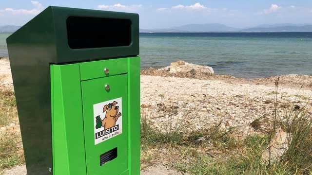 Spiaggia Cani Is Pruinis Sant Antioco