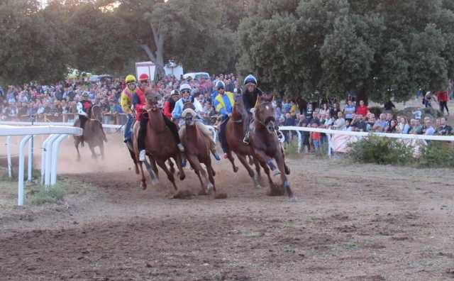 Palio DellAssunta Orgosolo