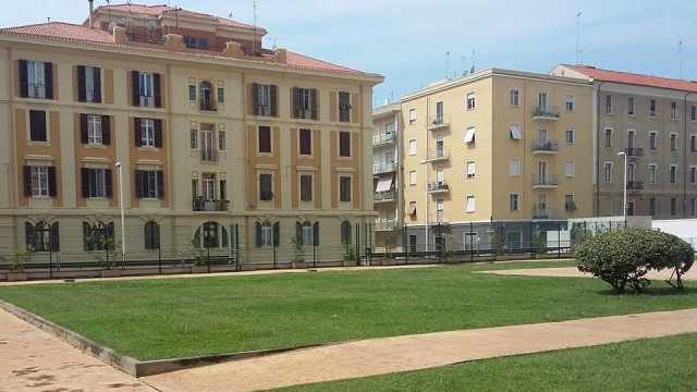 Area Cani Cagliari