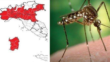 CENTRO Nazionale Sangue Febbre Del Nilo