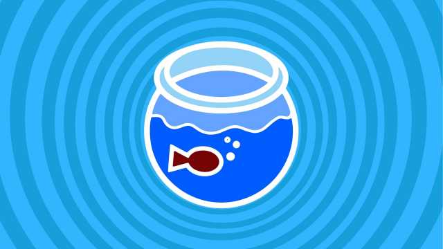 Acquario - Settimana dal 4 al 10 Febbraio