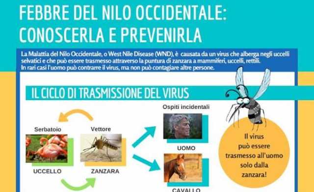 Febbre Del Nilo Come Fare 16 9