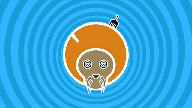 Leone - Settimana dal 4 al 10 Febbraio