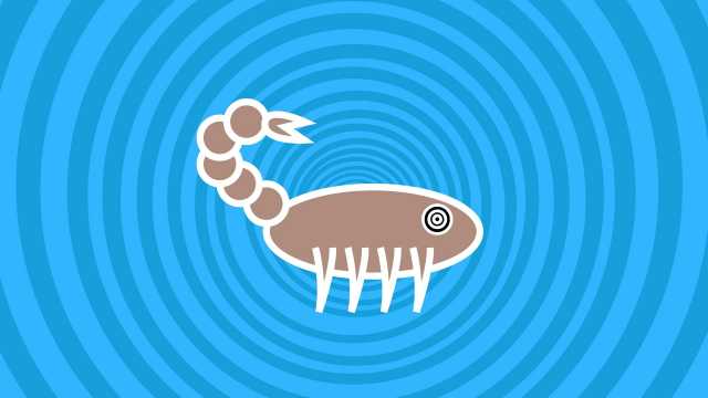 Scorpione - Settimana dal 4 al 10 Febbraio