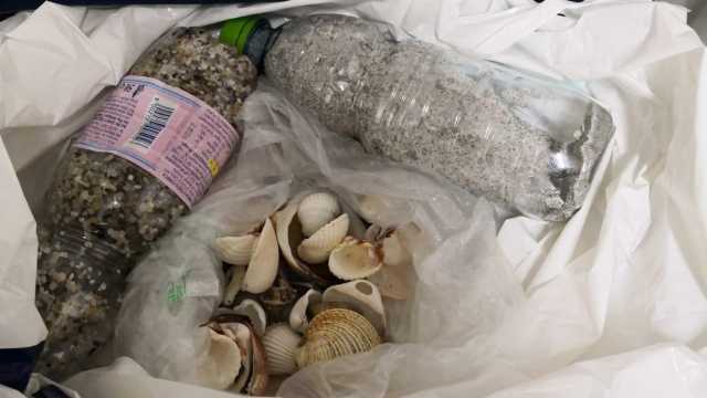 Sabbia E Conchiglie Sardegna Sequestrate