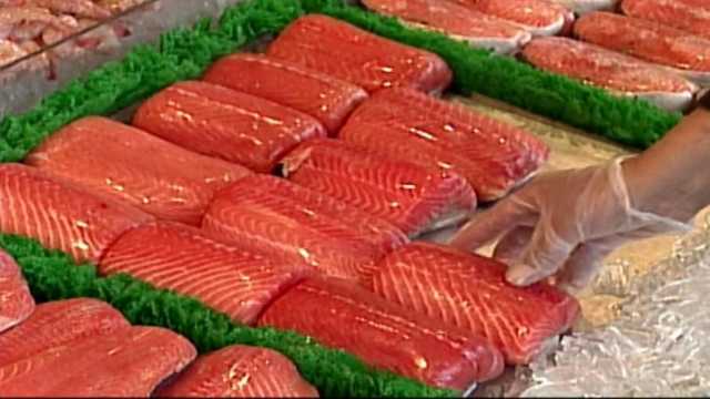 Salmone