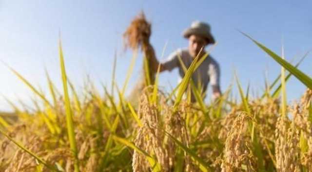 Agricoltura Sardegna