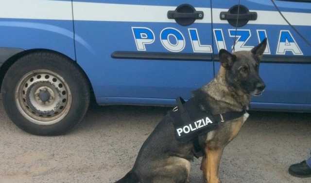 Unita Cinofila Arzana