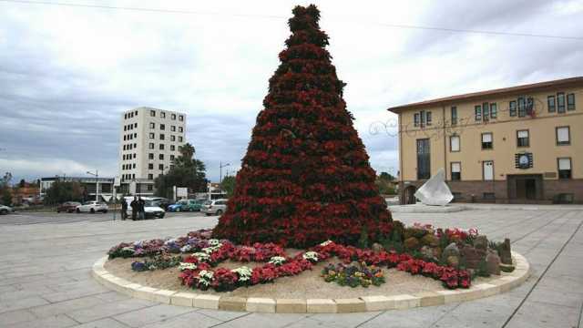 Natale Carbonia