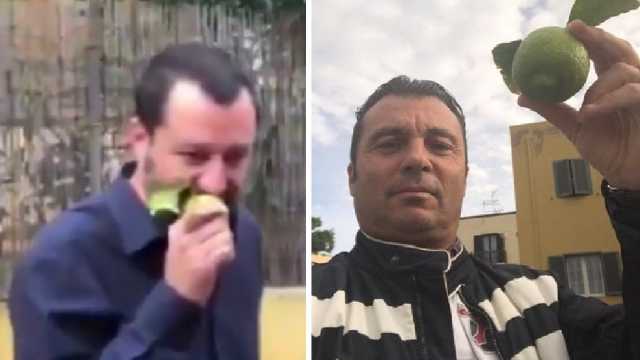 Salvini Portoghese Limone