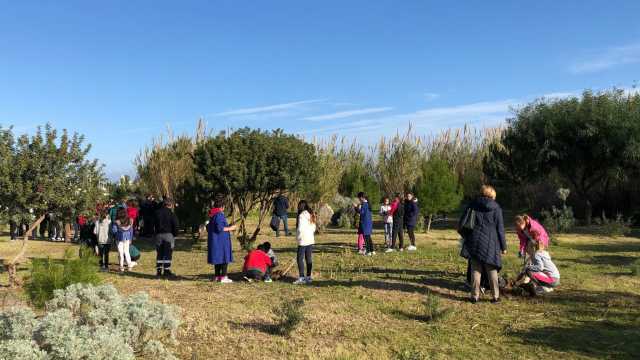 Festa Dellalbero Sant Antioco