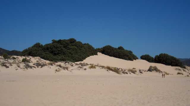 Dune Di Chia