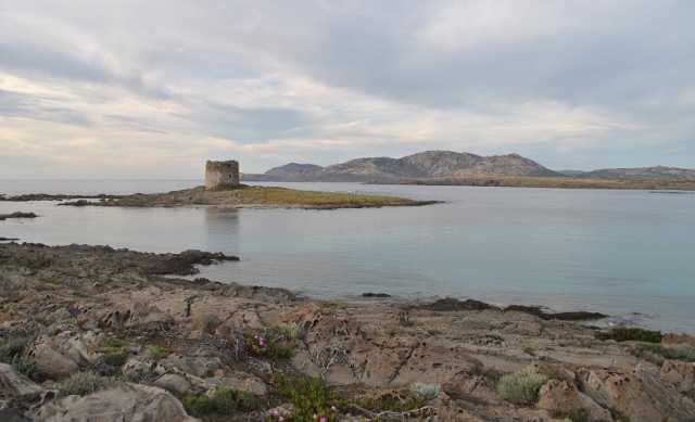 La Torre Della Pelosa Stintino