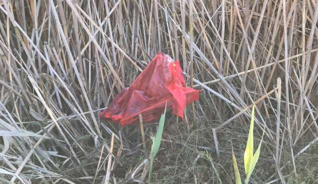 Lanterna Cinese Tagliata