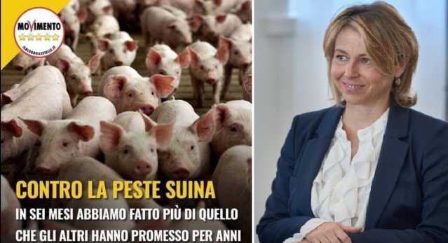 Peste Suina