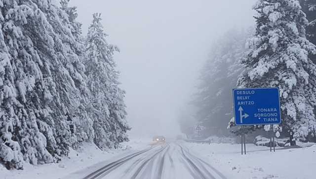 Nevestrada