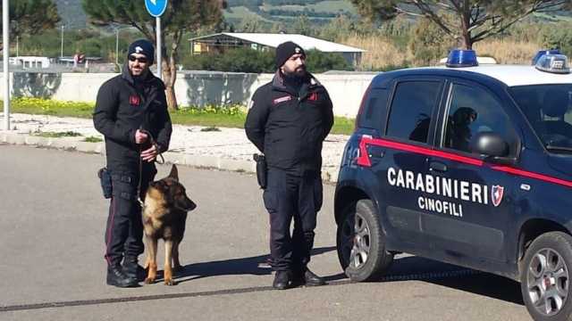 Carabinieri Cinofili 2