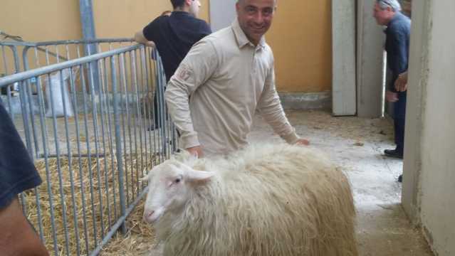 Gianuario Falchi