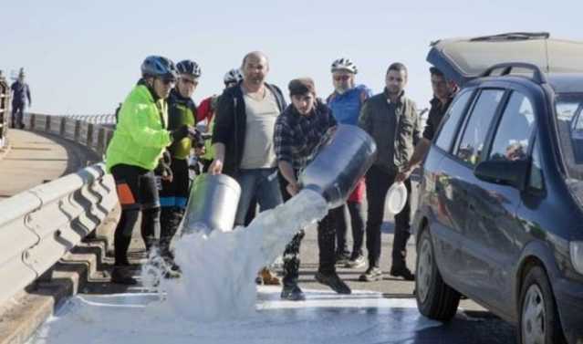 Latte Protesta
