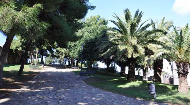 Parco Di Bonaria Palme