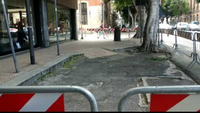 TRansenne Viale Trieste Cagliari Alberi