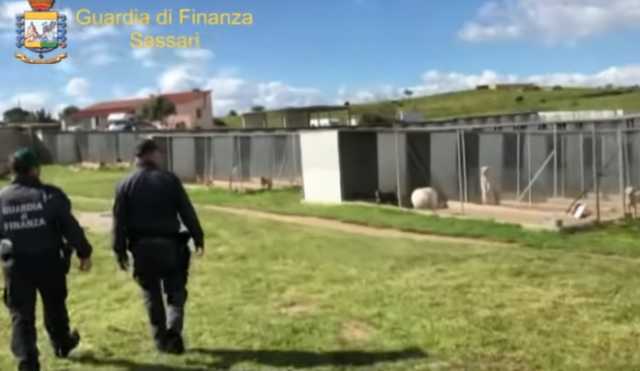 Canile Guardia Di Finanza