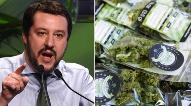 Salvini Cannabis Light