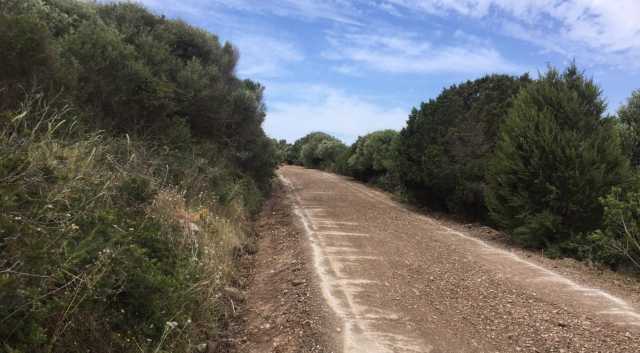 Strade Di Campagna