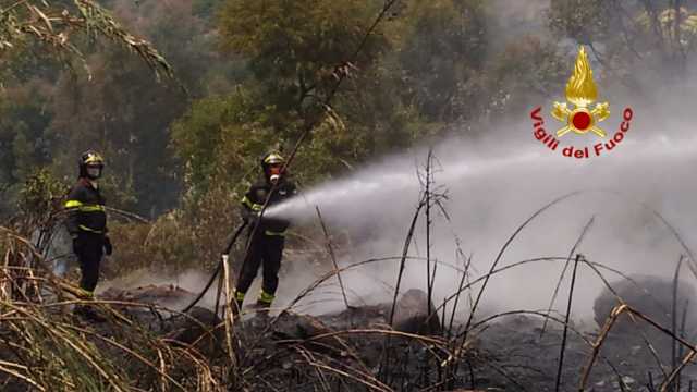 Vegetazione 125 Fuoco