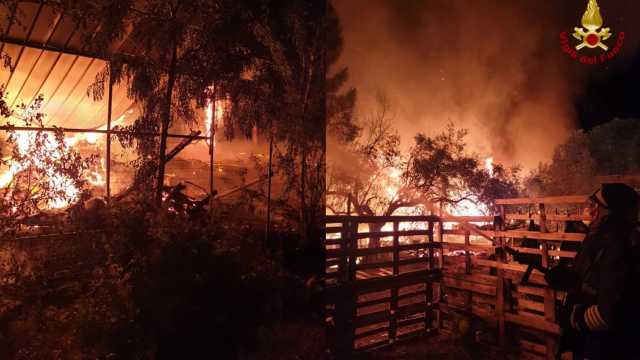 Incendio Ovile Dolianova Ok