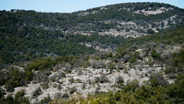 Monti Seui Tagliata