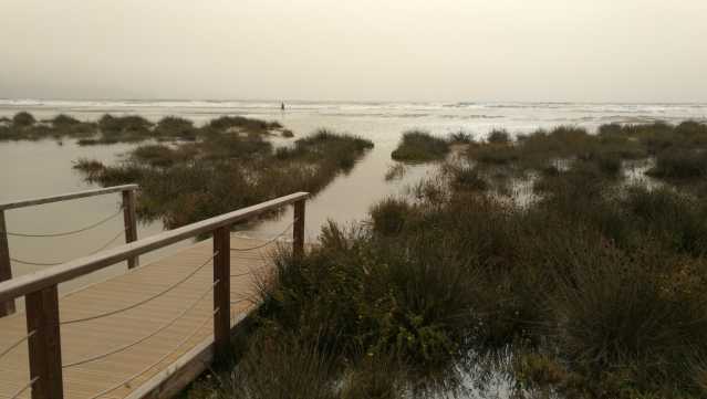 Poetto Sommerso 201018