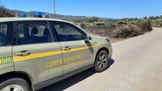 Corpo Forestale