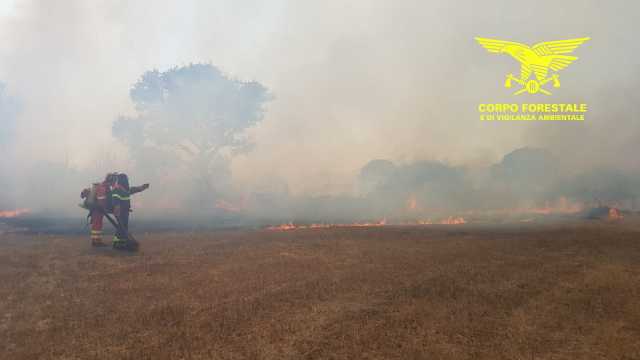 Incendi Sardegna Corpo Forestale