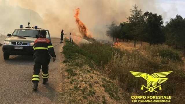 Incendio Torpè Sardegna