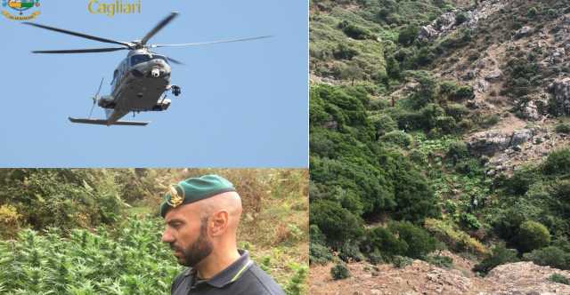 Guardia Di Finanza Marijuana Serpeddì