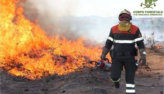 Incendio Pula