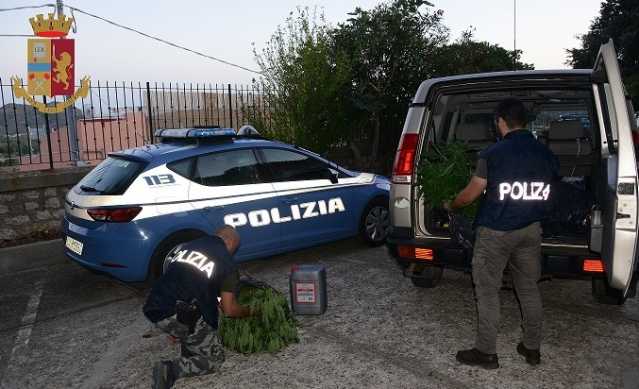 Sequestro Marijuana Nuoro Mobile