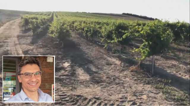 Vigna Intervista Abis